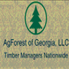 Chris Polk Owner of AgForest of Georgia in Greensboro, Georgia Hired to Thin 124 Acres in Jasper County