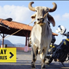 Travel Back In Time On The Colonial Mexico Motorcycle Tour With MotoDiscovery 