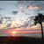 Vacation Rentals