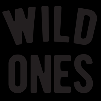 t-shirts for the effortlessly stylish. handcrafted in Nashville. we are the wild ones. 