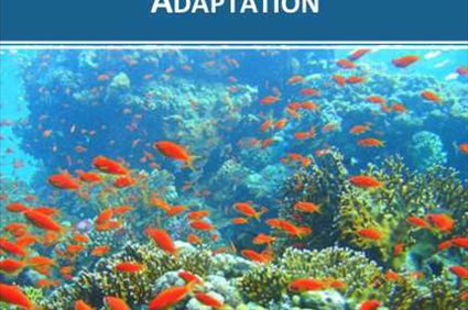 Coral Reef Responses to Temperature and Stress: Thermal Adaptation | Originals