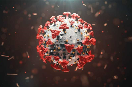 US coronavirus deaths reach 250,000