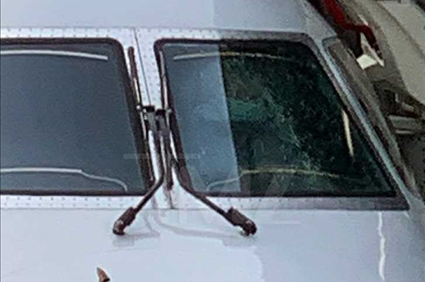 American Airlines Jet Strikes Bird, Cockpit Windshield Shattered