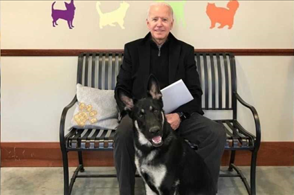 Joe Biden's doctor gives update after the 78-year-old gets hurt playing with dog Major