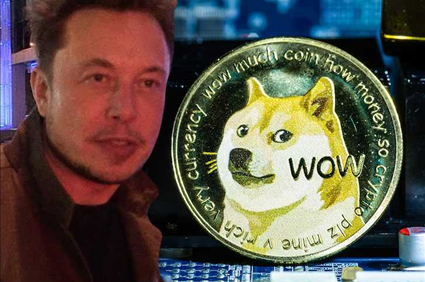 Dogecoin Value Tanks During Elon Musk's 'SNL' Hosting Gig
