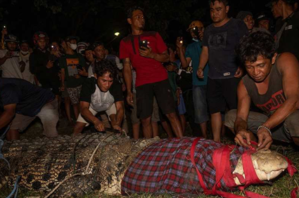 13-foot crocodile in Indonesia freed from tire after 6 years