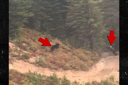 Black Bear Chases After Mountain Biker in Montana, Wild Video!