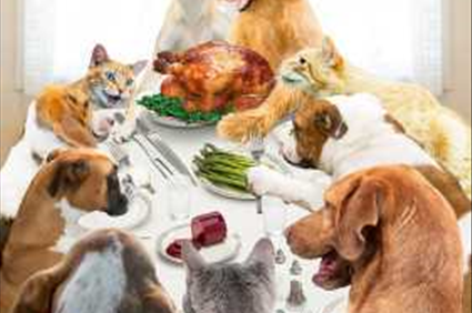 Are These Thanksgiving Dishes Safe for Pets?